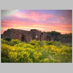 i nostri dammusi in affitto. clicca qui per vederli tutti